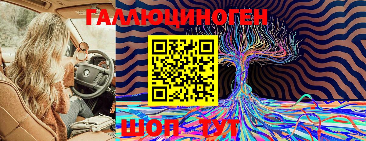 Осинники  Псилоцибиновые грибы MAGIC MUSHROOMS  даркнет сайт  Вход с VPN  Псилоцибиновые грибы Psilocybe 